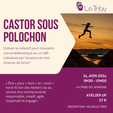 ATELIER UP – Castor sous polochon – Lundi 24 juin 2024